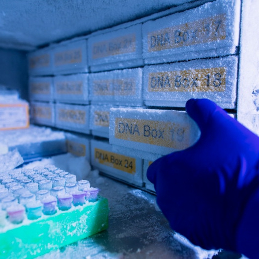 GlobalRx pharmaceutical cold chain storage